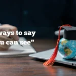 "As you can see​"