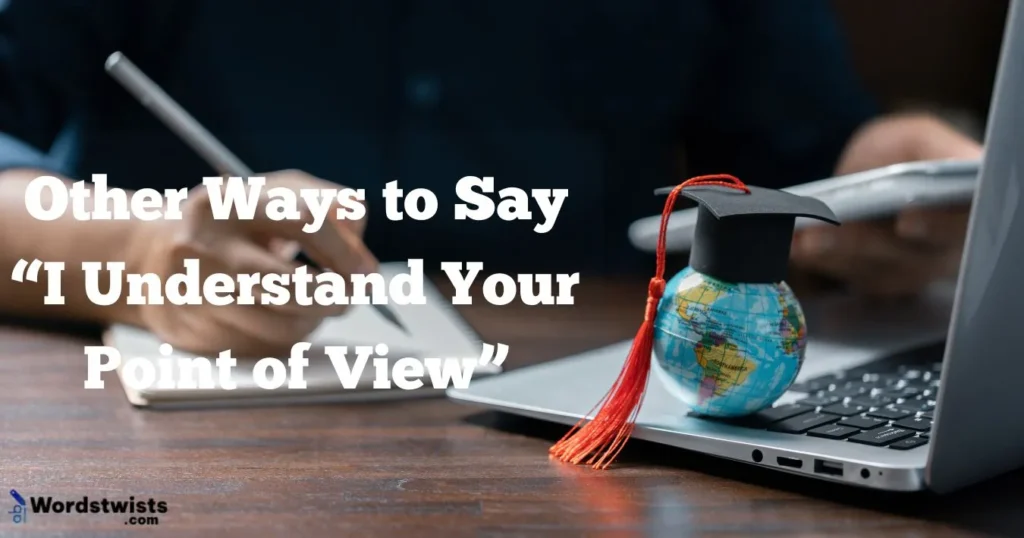 I Understand Your Point of View