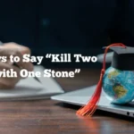 Kill Two Birds with One Stone