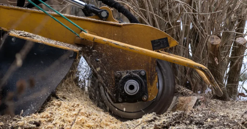 Get Your Yard Back Why Professional Stump Removal is a Must