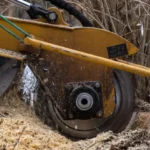Get Your Yard Back Why Professional Stump Removal is a Must