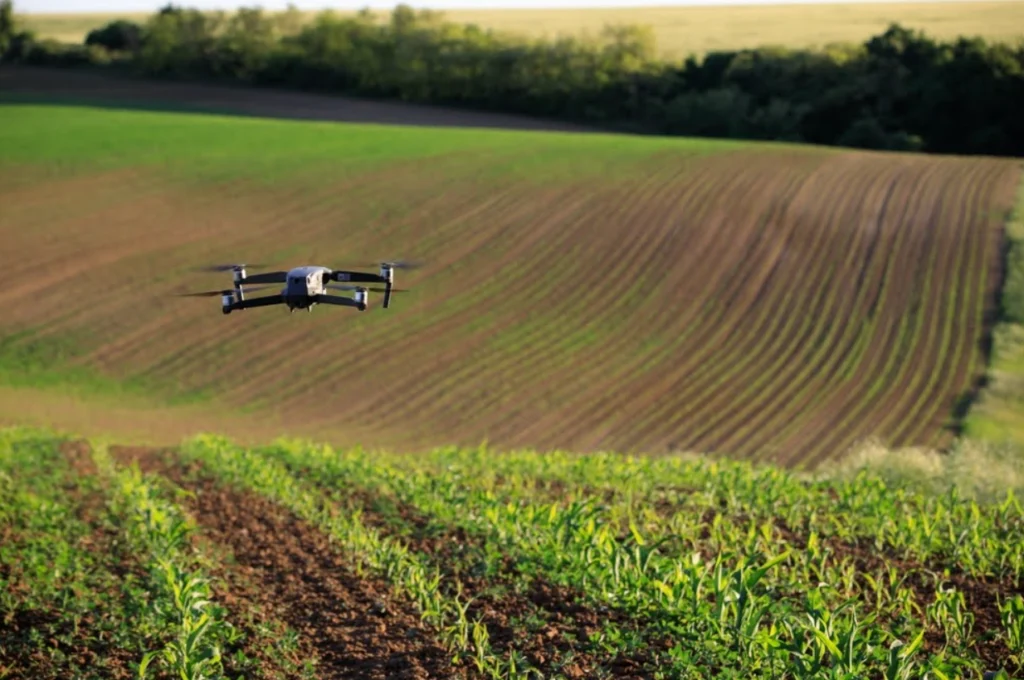 How Drone as a Service Can Make Farming More Efficient and Cost-Effective