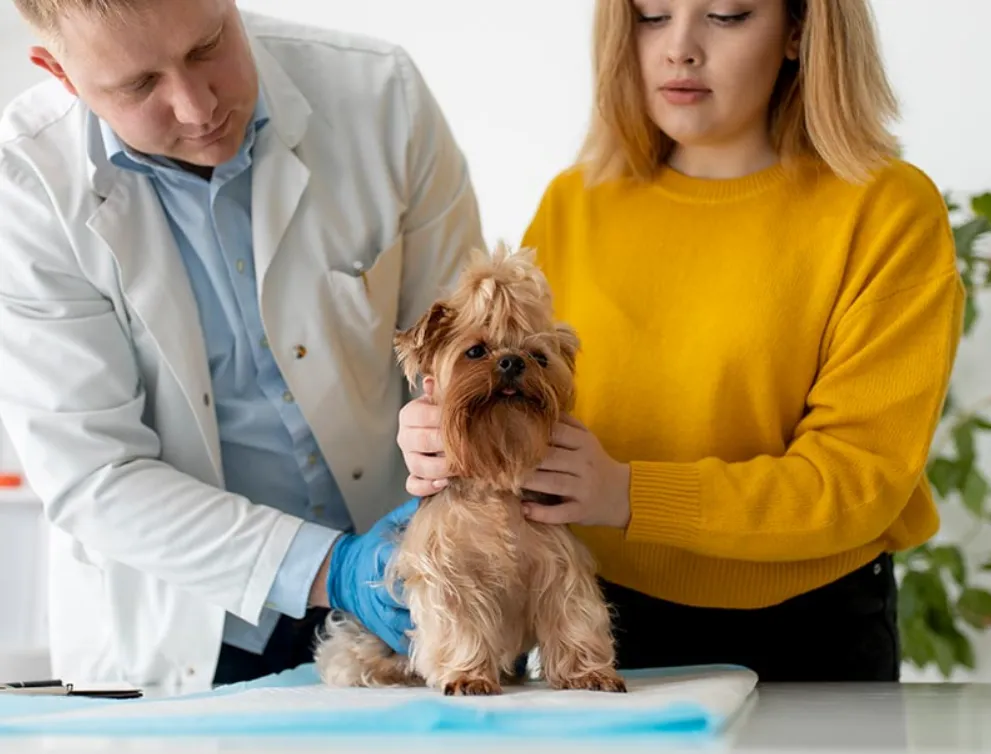 Planning Disability Protection Before Opening Your Own Vet Practice