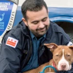 Expert Animal Control Services That Put Your Safety First
