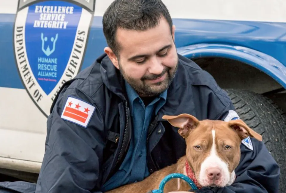 Expert Animal Control Services That Put Your Safety First